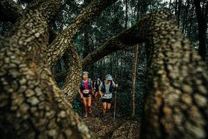 BIB: 
                            <button type="button" onclick="openModal(25674071)" class="btn btn-primary btn-sm float-right btn-popup" data-toggle="modal" data-target=".modal-high-quality">
                        <i class="fas fa-shopping-cart"></i> Add to Cart
                    </button>
                                            <button type="button" onclick="isThisMe(25674071, true)" class="btn btn-success btn-sm float-right btn-popup btn-isme hidden" data-toggle="tooltip" data-placement="bottom" title="นี่คือรูปของคุณใช่ไหม คลิกที่นี่เพื่อเอาเข้าอัลบั้ม">
                        <i class="fas fa-plus"></i> Add to album
                    </button>
                    <button type="button" onclick="isThisMe(25674071, false)" class="btn btn-warning btn-sm float-right btn-popup btn-isnotme hidden">
                        <i class="fas fa-ban"></i> Remove from album
                    </button>